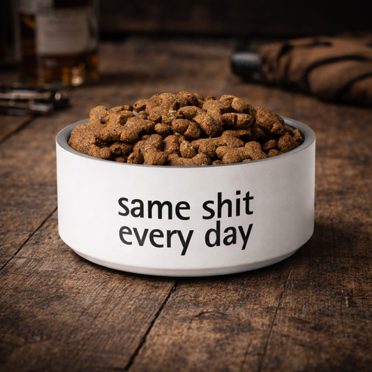 Pet food bowl
